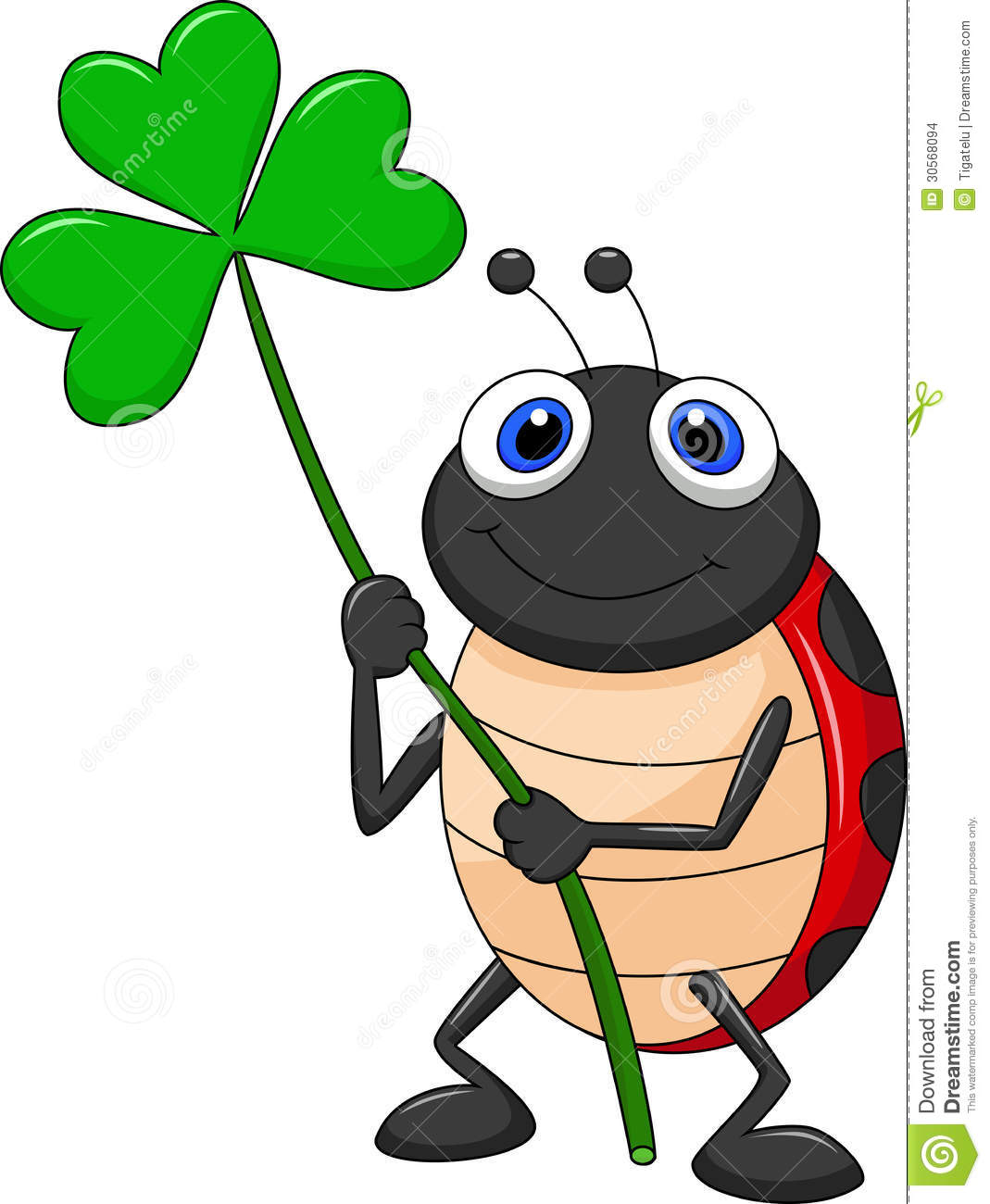 Cute Ladybug Cartoon With Clover Leaf Stock Images   Image  30568094