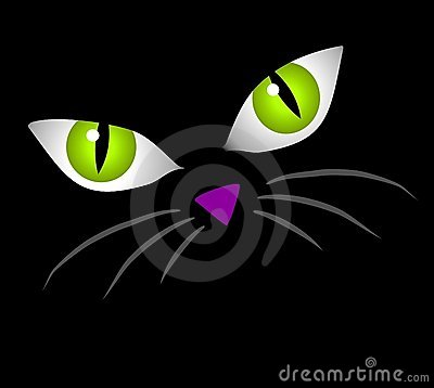 Art Cartoon Illustration Of The Facial Features Of A Cat   Big Eyes