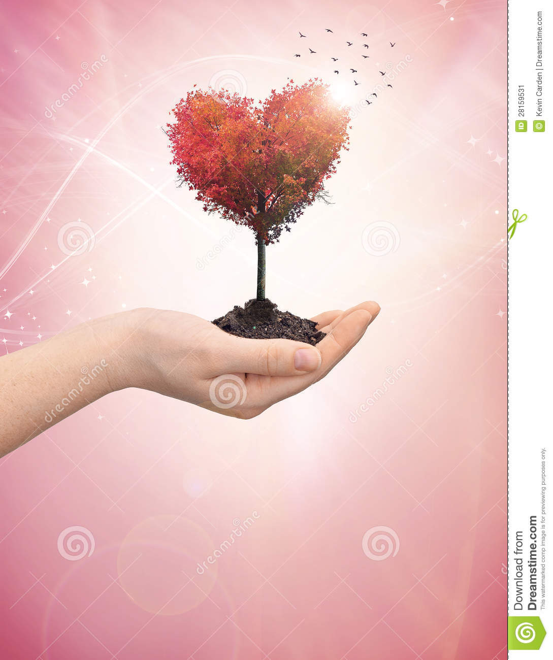 More Similar Stock Images Of   Woman S Hand Holding A Tree Heart