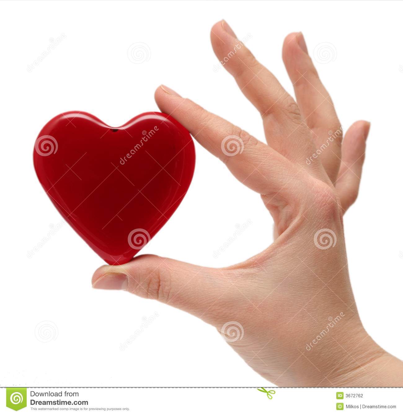 Woman S Hand Holding The Heart Stock Photography   Image  3672762