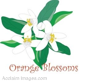 Clip Art For Orange Blossoms