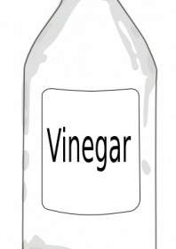 Vinegarbottle Clip Art 16613 Jpg