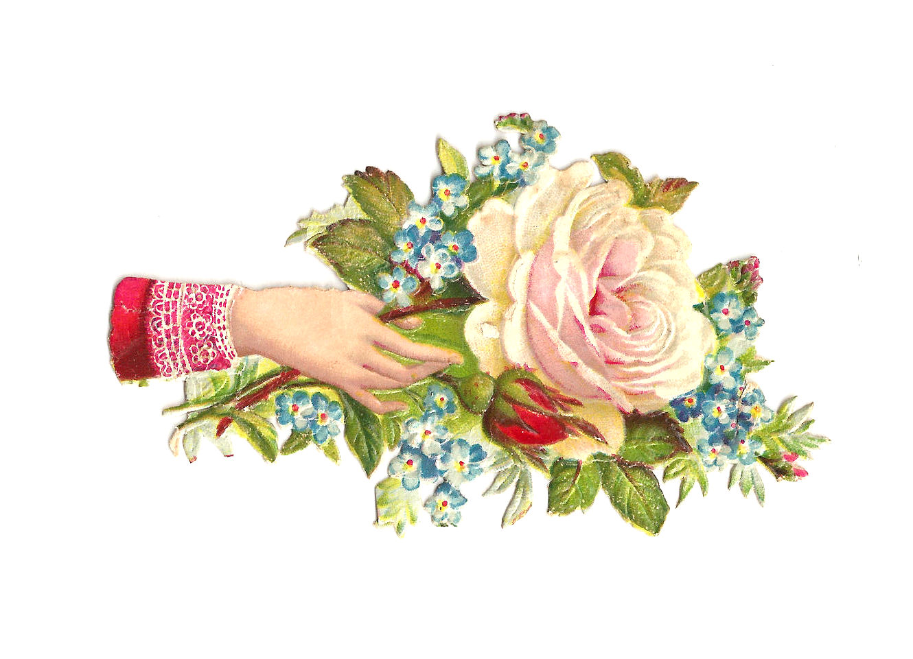 Free Rose Clip Art  White Rose Victorian Scrap Hand Whimsy With Blue