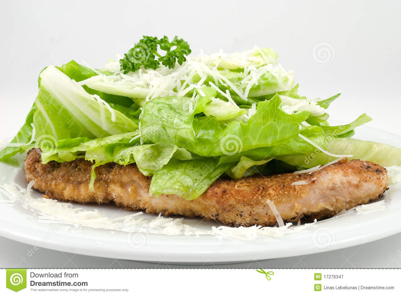 Parmesan Chicken Royalty Free Stock Photography   Image  17276347