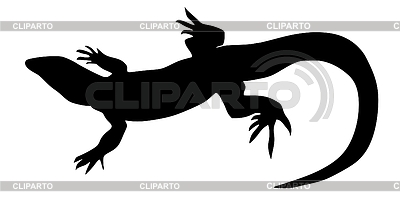 Lizard   Stock Photos And Vektor Eps Clipart   Cliparto