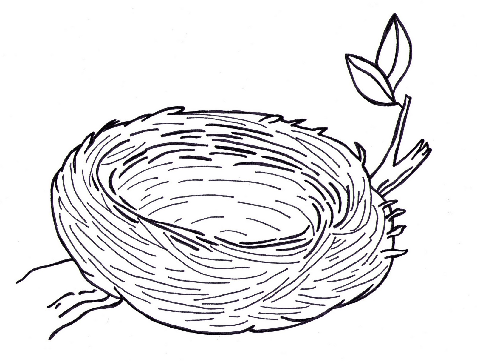 Bird Nest Clipart Images   Pictures   Becuo