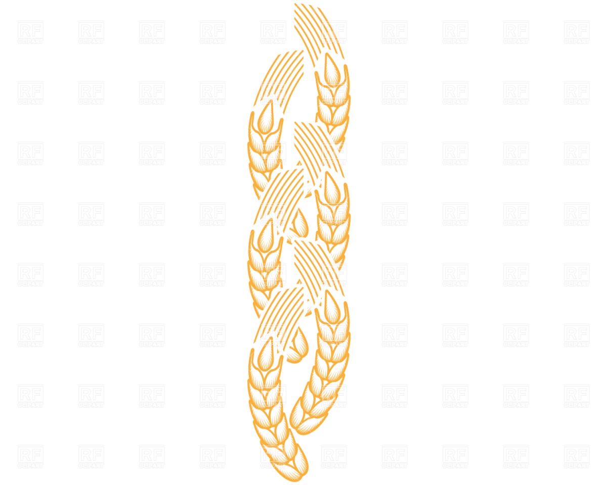 Ear Of Wheat Download Royalty Free Vector Clipart  Eps