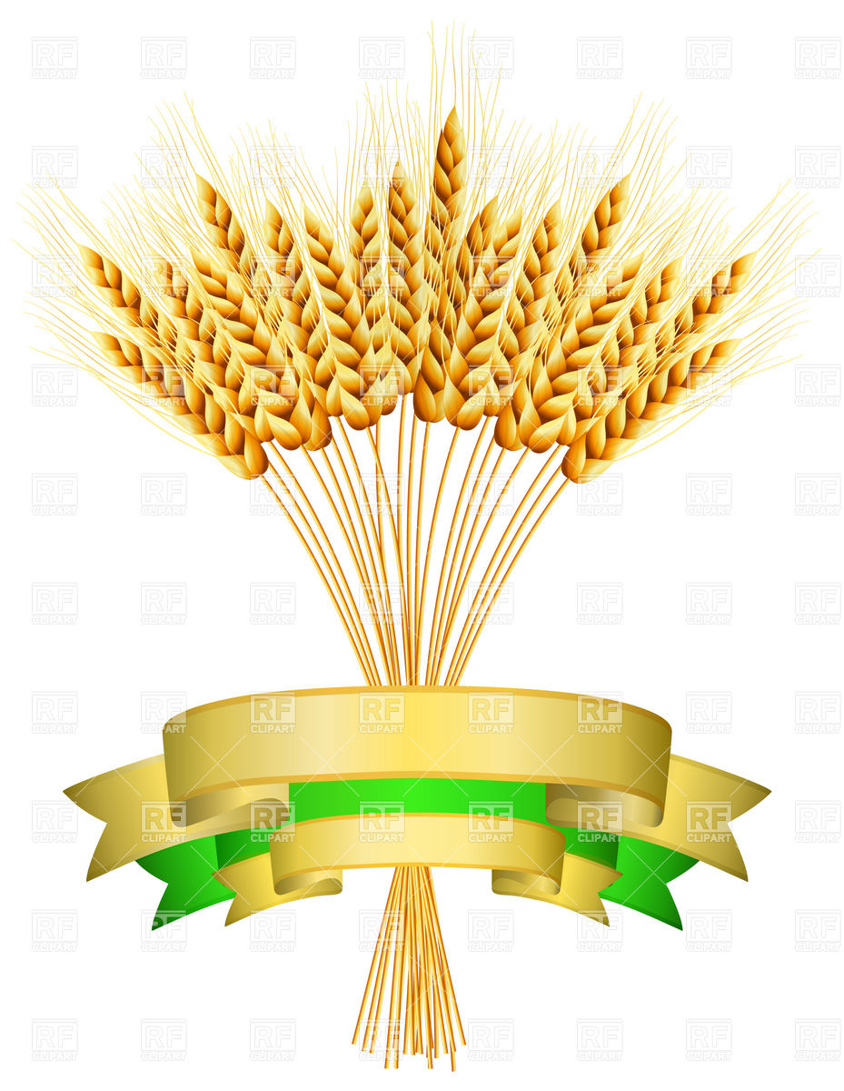 Ears Of Wheat And Ribbons Download Royalty Free Vector Clipart  Eps