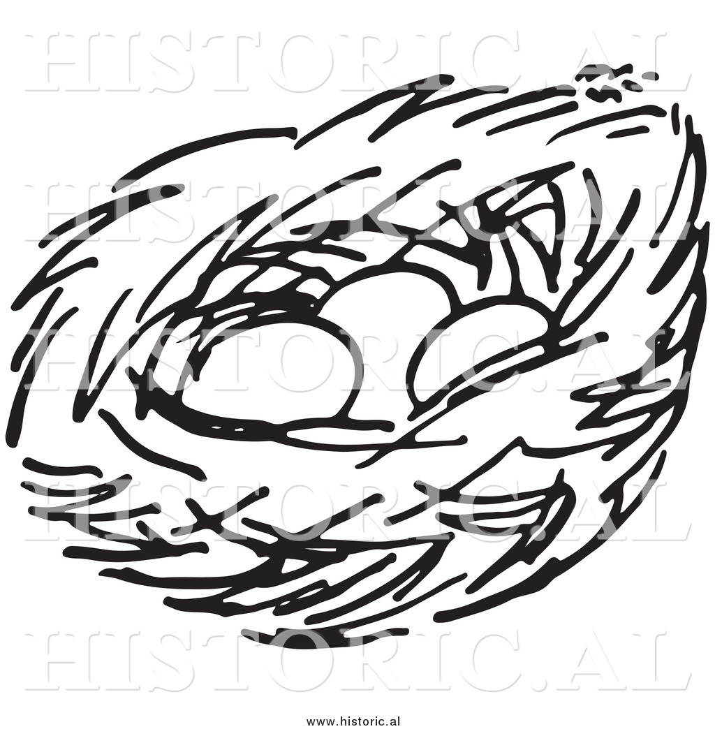 Nest Clip Art Clipart Of A Bird Nest With Three Eggs Black And White