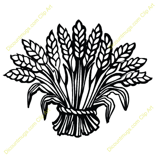 Wheat Bundle Clipart Images   Pictures   Becuo