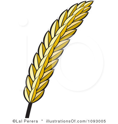 Wheat Clipart Illustration