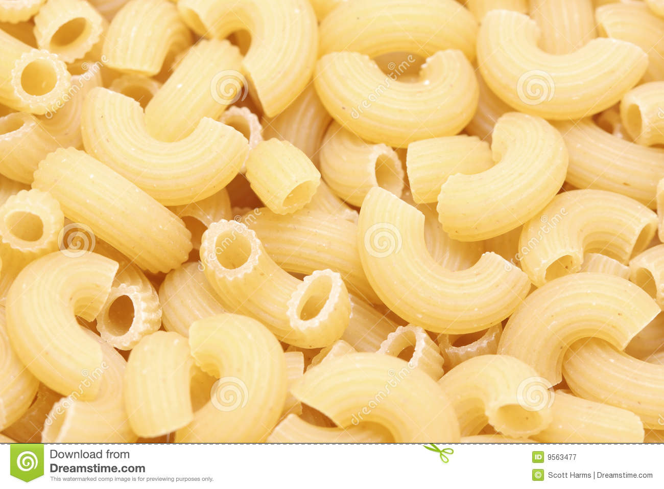 Elbow Noodle Royalty Free Stock Photography   Image  9563477