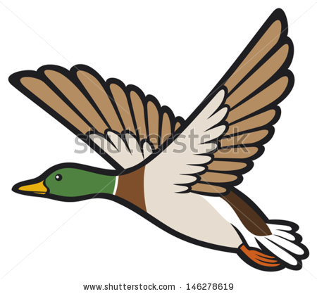 Mallard Clip Art Stock Vector Mallard Duck Flying Bird Duck Flying