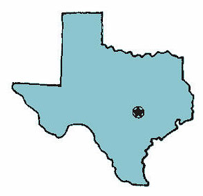 Texas State Bird State Quarter Design State Size Square Miles