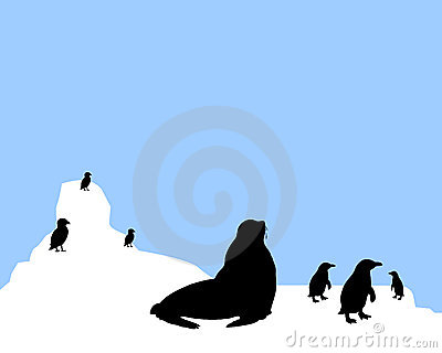 Antarctic Animals Clipart Antarctica Animals Scenario 9345207 Jpg