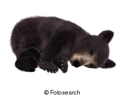 American Black Bear Illustrations And Clipart