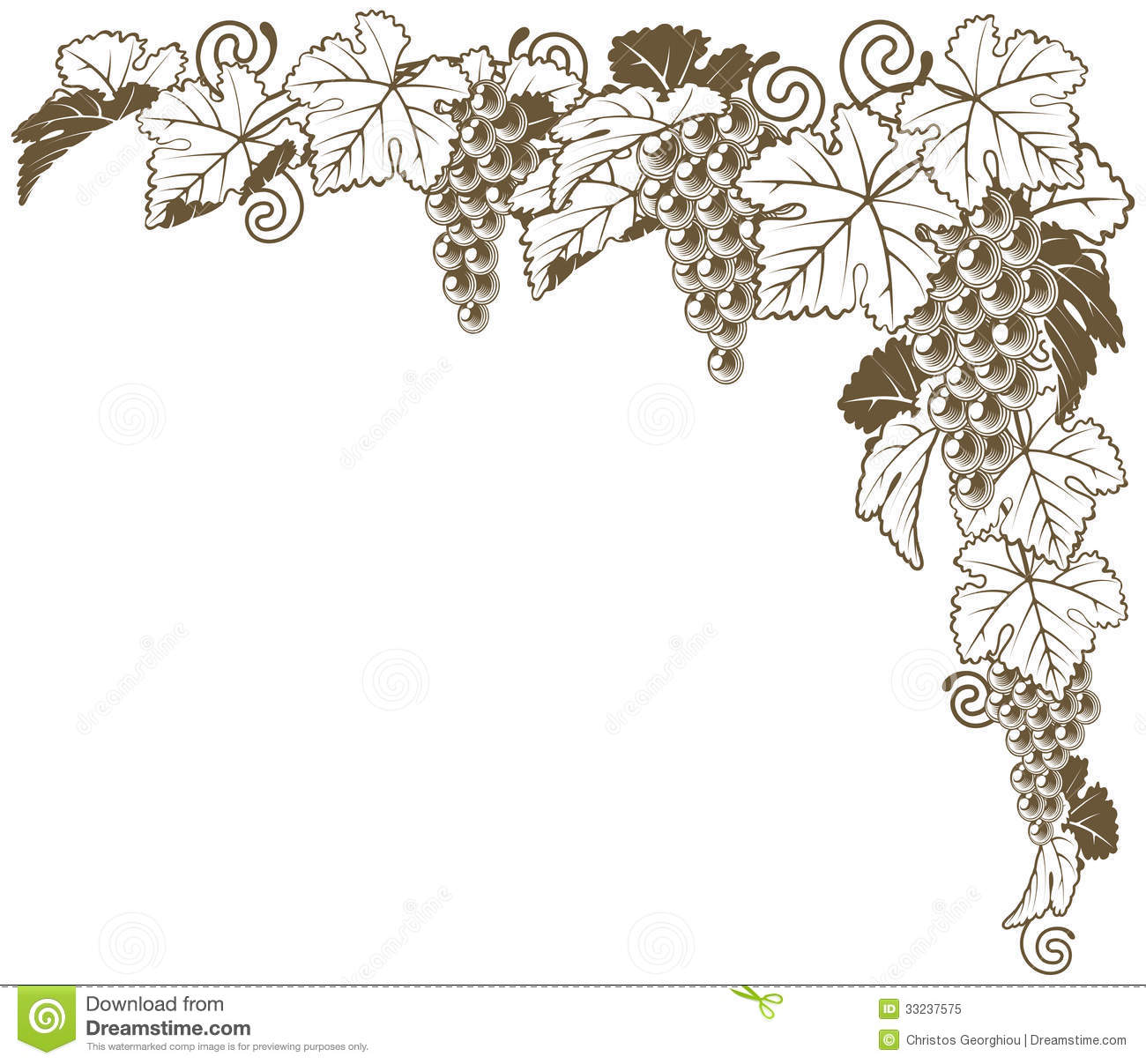 Grape Vine Corner Ornament Royalty Free Stock Photo   Image  33237575
