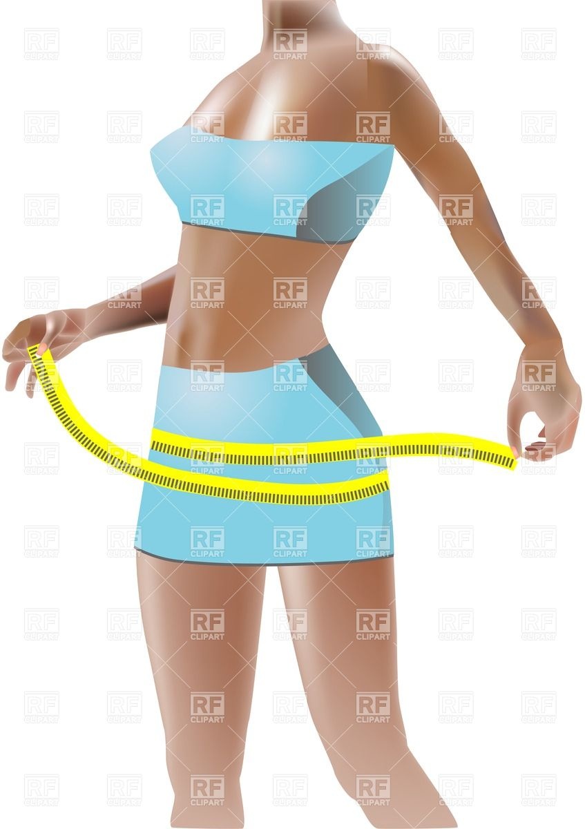 Girl Measuring Her Hips People Download Royalty Free Vector Clip Art