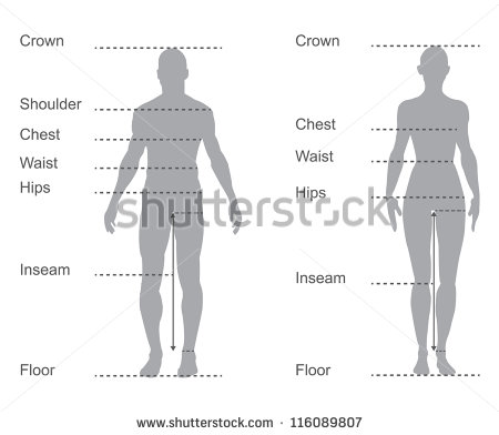 Size Chart Measurement Diagram Of Male And Female Body Measurements    