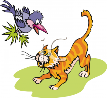 Clipart Net Clipart Of An Orange Cat Being Startled By A Large Bird
