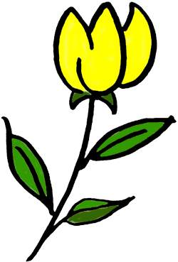Clipart Tulip Posted By Nathanial Shouse