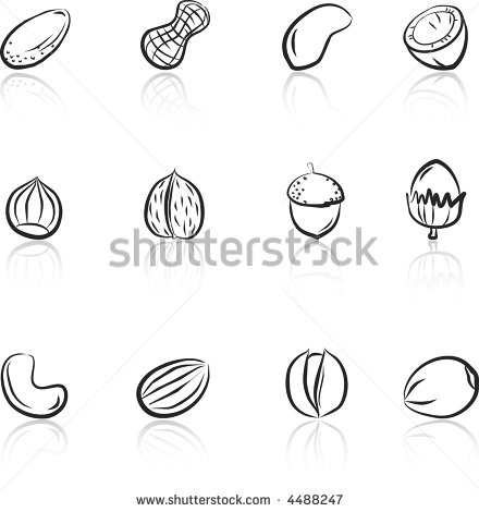 Pecan Clipart Black And White Various Nuts Black   White