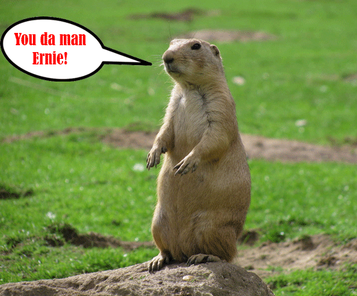 Go Back   Gallery For   Black Tailed Prairie Dog Drawing