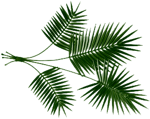 Palm Sunday Clip Art   Group Picture Image By Tag   Keywordpictures