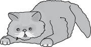 Gray And White Animals Clipart And Graphics