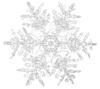 Snowflakes Clip Art At Clker Com   Vector Clip Art Online Royalty