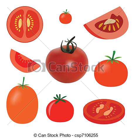Slice Of Tomato Clip Art Tomato