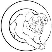 Border Collie Dog Jumping Through Hoop   Clipart Graphic