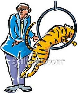 Circus Tiger Jumping Through A Ring   Royalty Free Clipart Picture