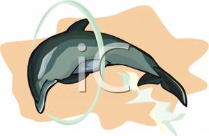 Dolphin Jumping Through A Hoop Clip Art Image