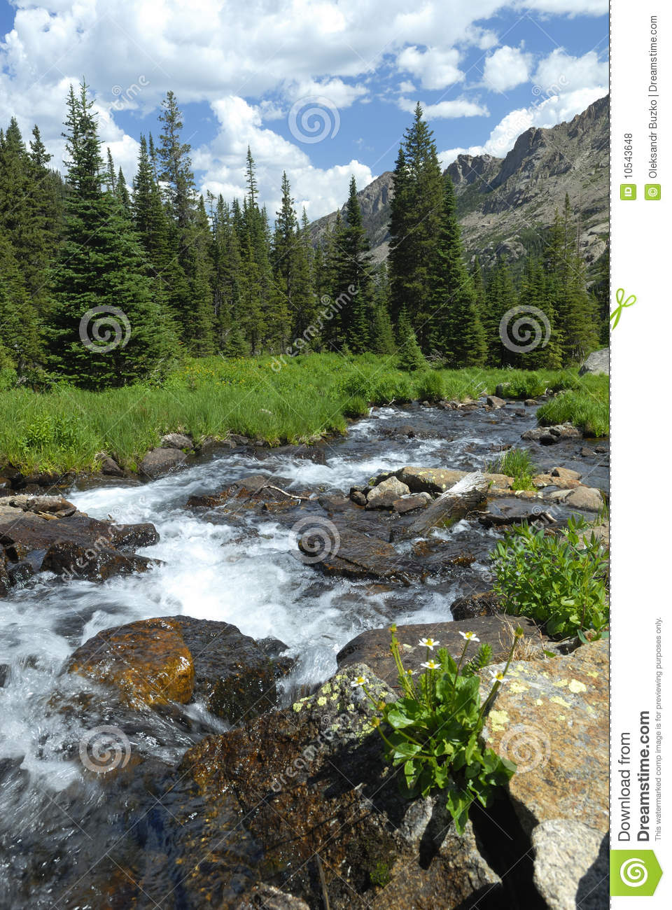 Mountain Stream In Colorado Rocky Mountains Royalty Free Stock Photos