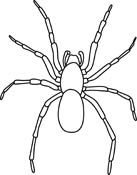 For Arthropod Pictures   Graphics   Illustrations   Clipart   Photos