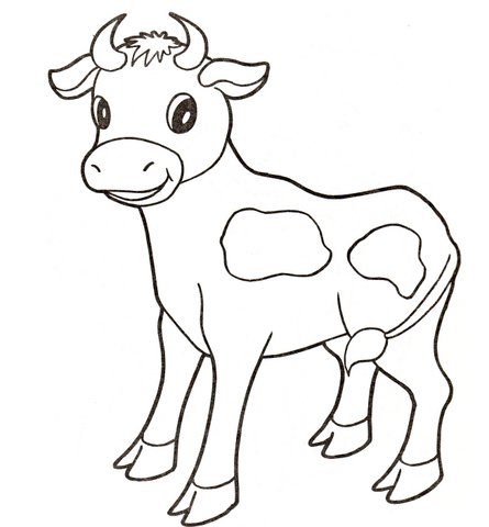 Longhorn Cow And Calf Coloring Page   Color Your Own   Coloring