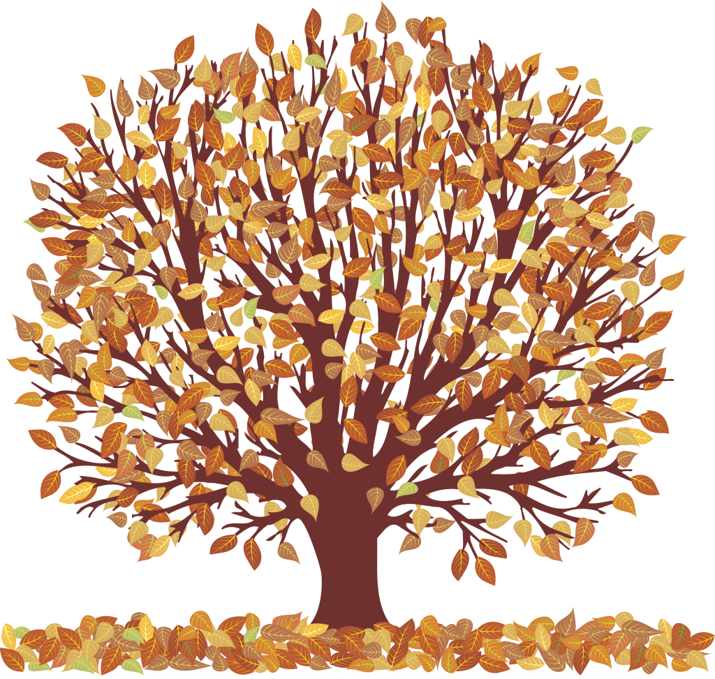 10 Picture Of Tree With Leaves Free Cliparts That You Can Download To