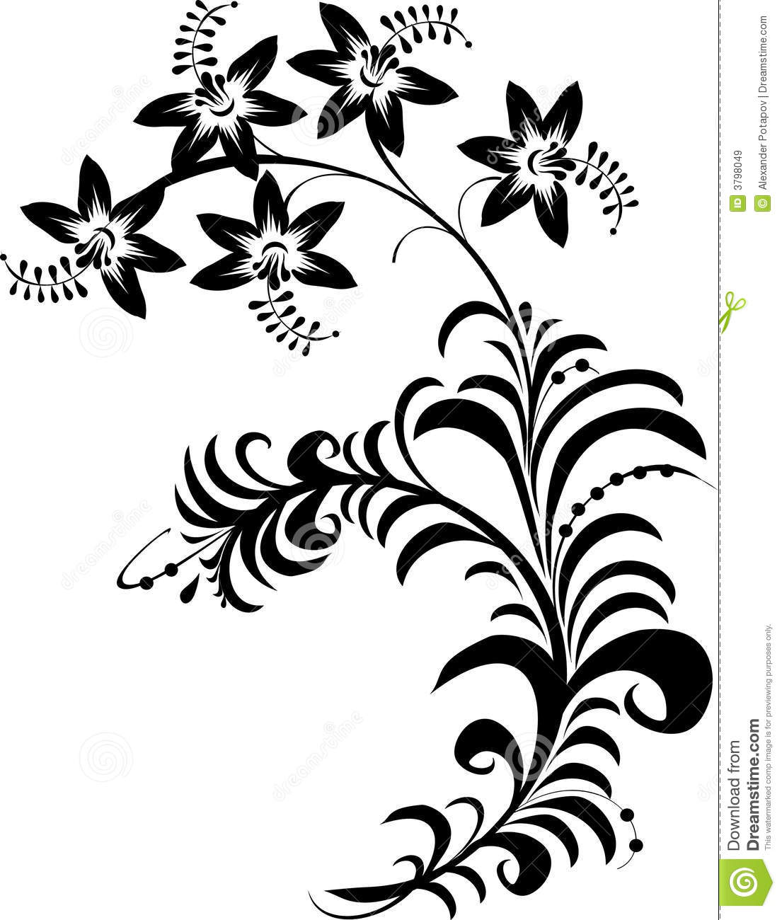 Black And White Flowers Royalty Free Stock Images   Image  3798049