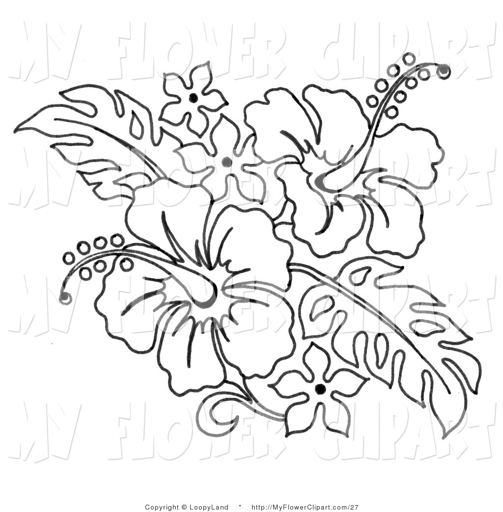 Page Of A Hibiscus Flower Bouquet Flower Clip Art Loopyland