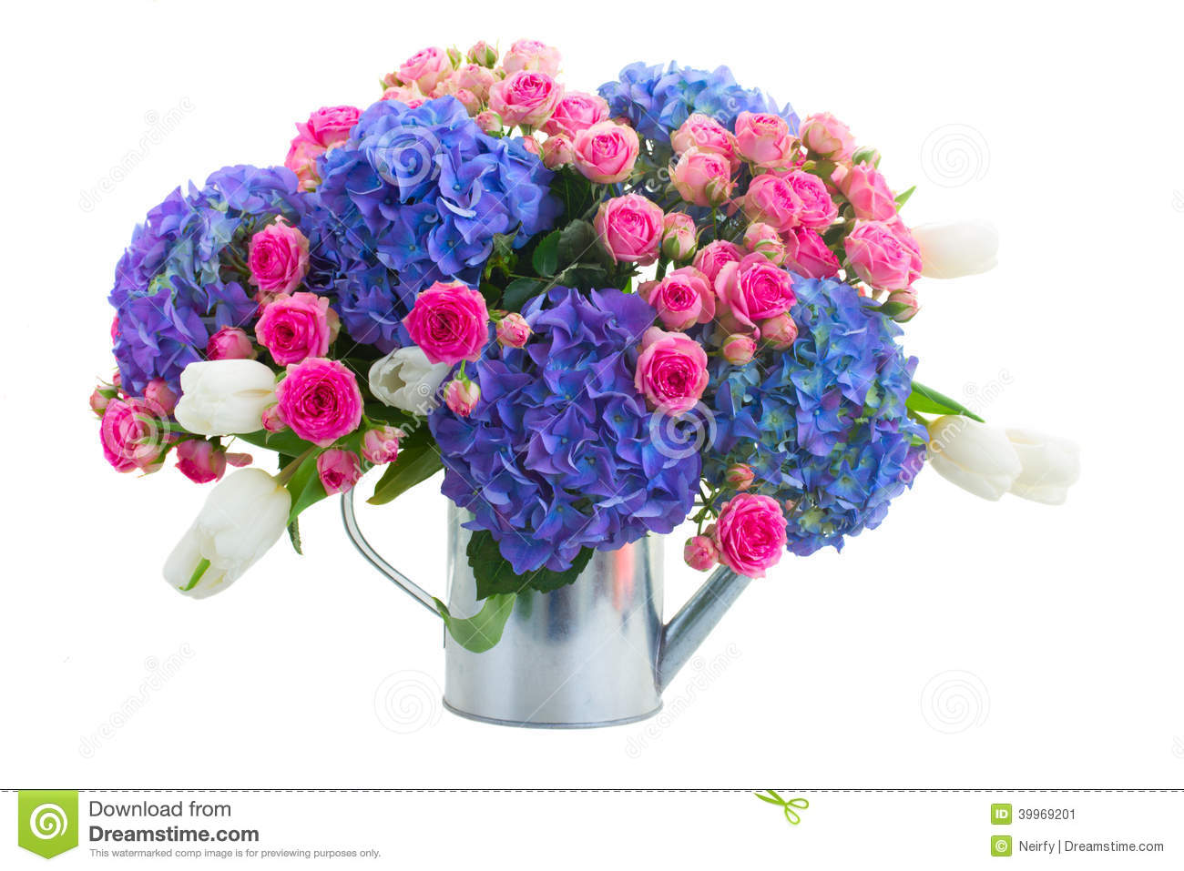 Pink Roses And Blue Hortensia Flowers Isolated On White Background