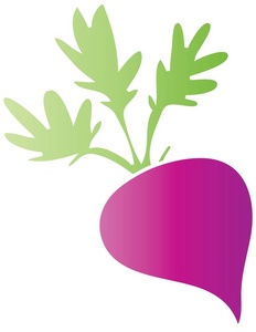 Beet Clipart Image  Simple Cartoon Drawing Of A Purple Beet Fresh From