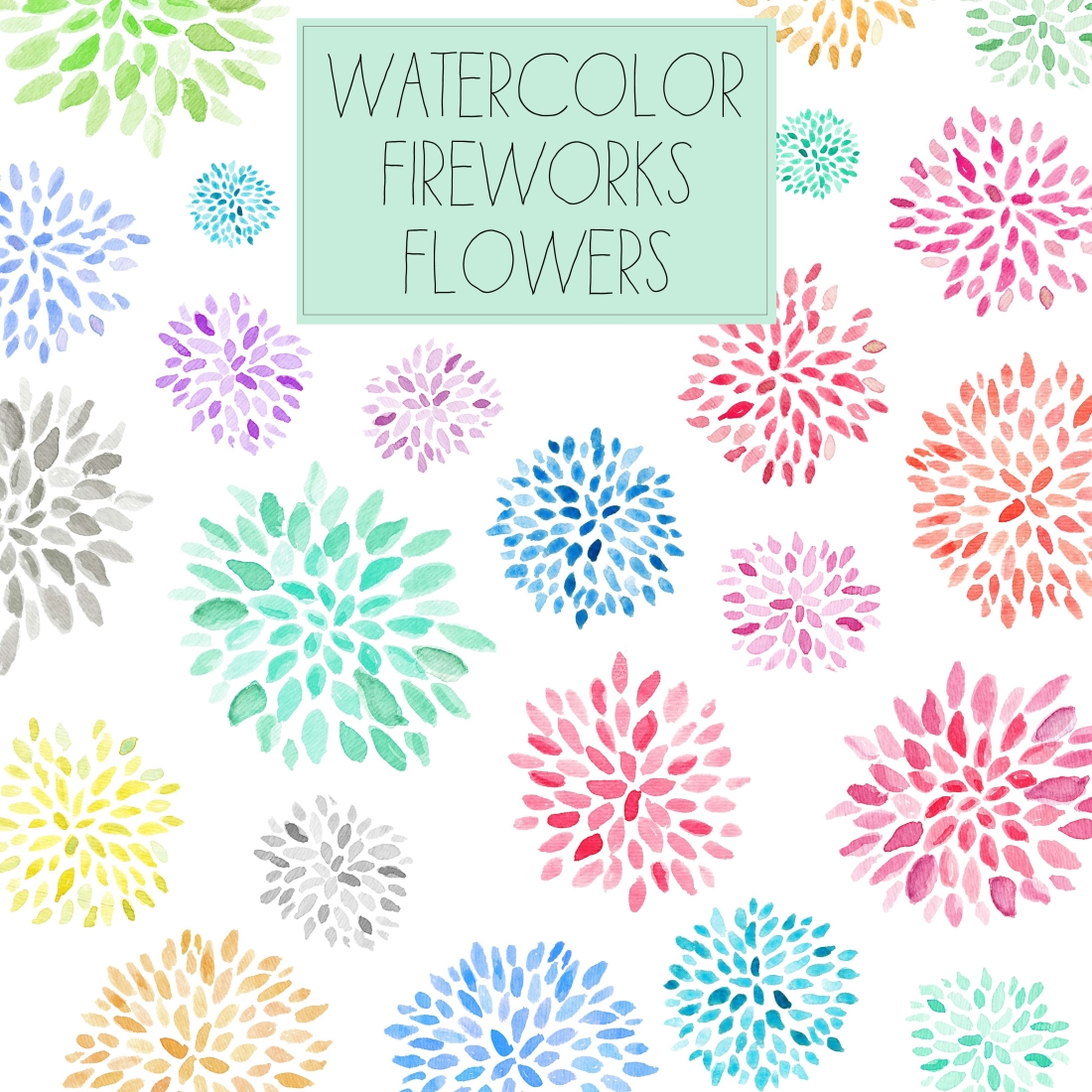Fireworks Clipart Transparent Background Watercolor Flower Clip Art