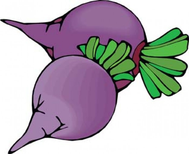 Go Back   Gallery For   Beets Clip Art