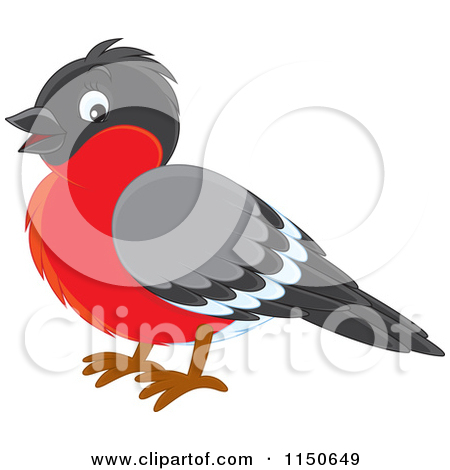 Clipart Robin Bird