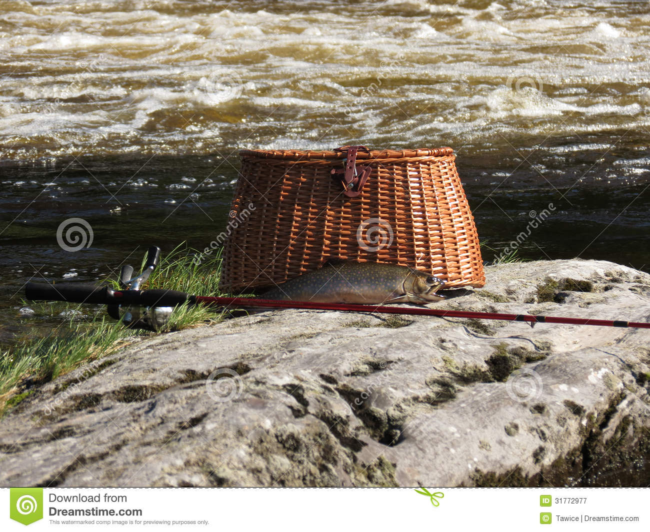 Wicker Fishing Creel With Fishing Pole And Legal Length Brook Trout