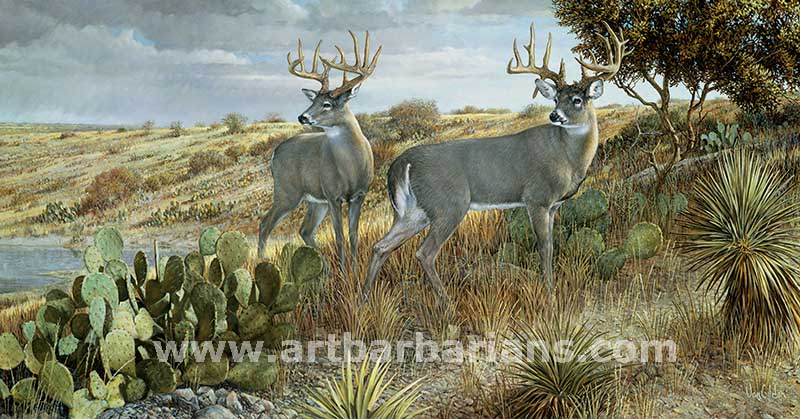 Whitetail Deer Head Clip Art   2011 And News From National Geographic