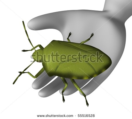 Acrosternum Hilare Stock Photos Images   Pictures   Shutterstock