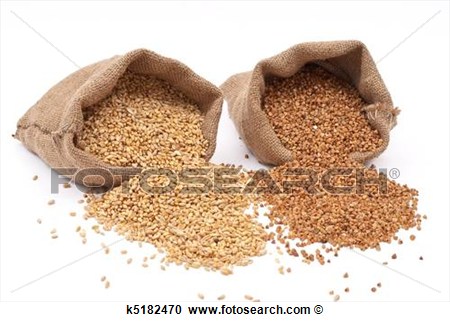 Burlap Sack With Wheat Grain And Buckwheat