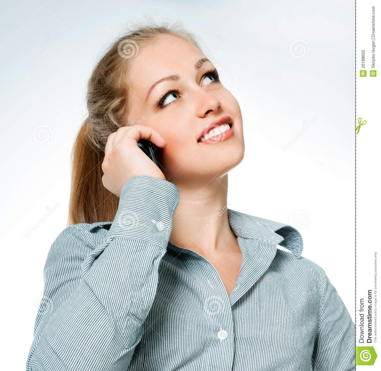 Business Lady On The Phone Calls Stock Photo   Image  20188650